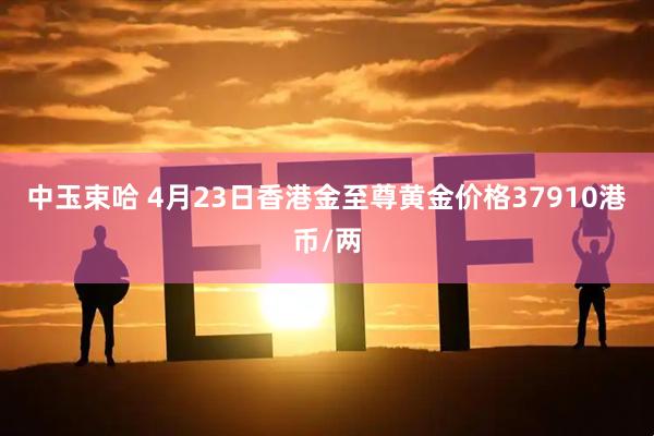 中玉束哈 4月23日香港金至尊黄金价格37910港币/两