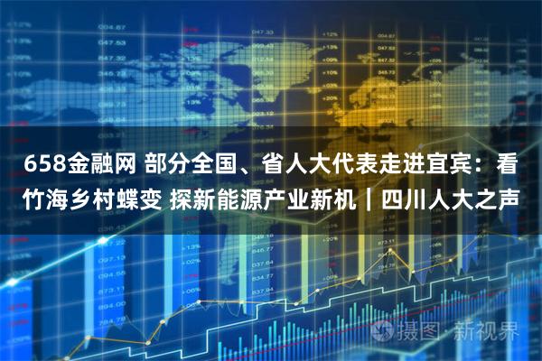 658金融网 部分全国、省人大代表走进宜宾：看竹海乡村蝶变 探新能源产业新机｜四川人大之声