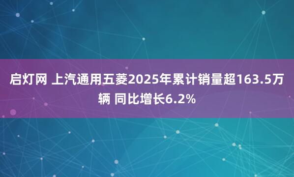 启灯网 上汽通用五菱2025年累计销量超163.5万辆 同比增长6.2%