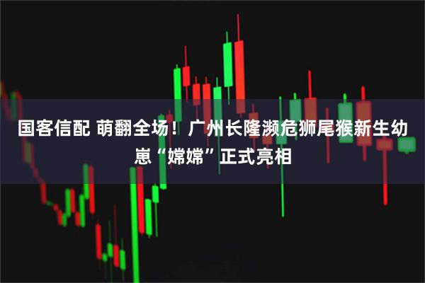 国客信配 萌翻全场！广州长隆濒危狮尾猴新生幼崽“嫦嫦”正式亮相