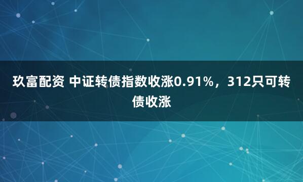 玖富配资 中证转债指数收涨0.91%,312只可转债收涨