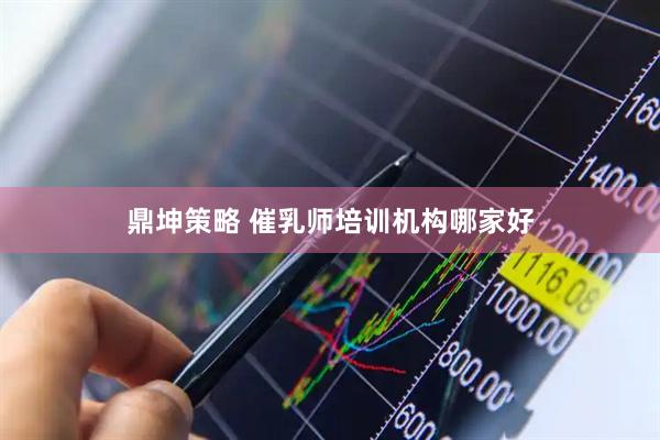 鼎坤策略 催乳师培训机构哪家好